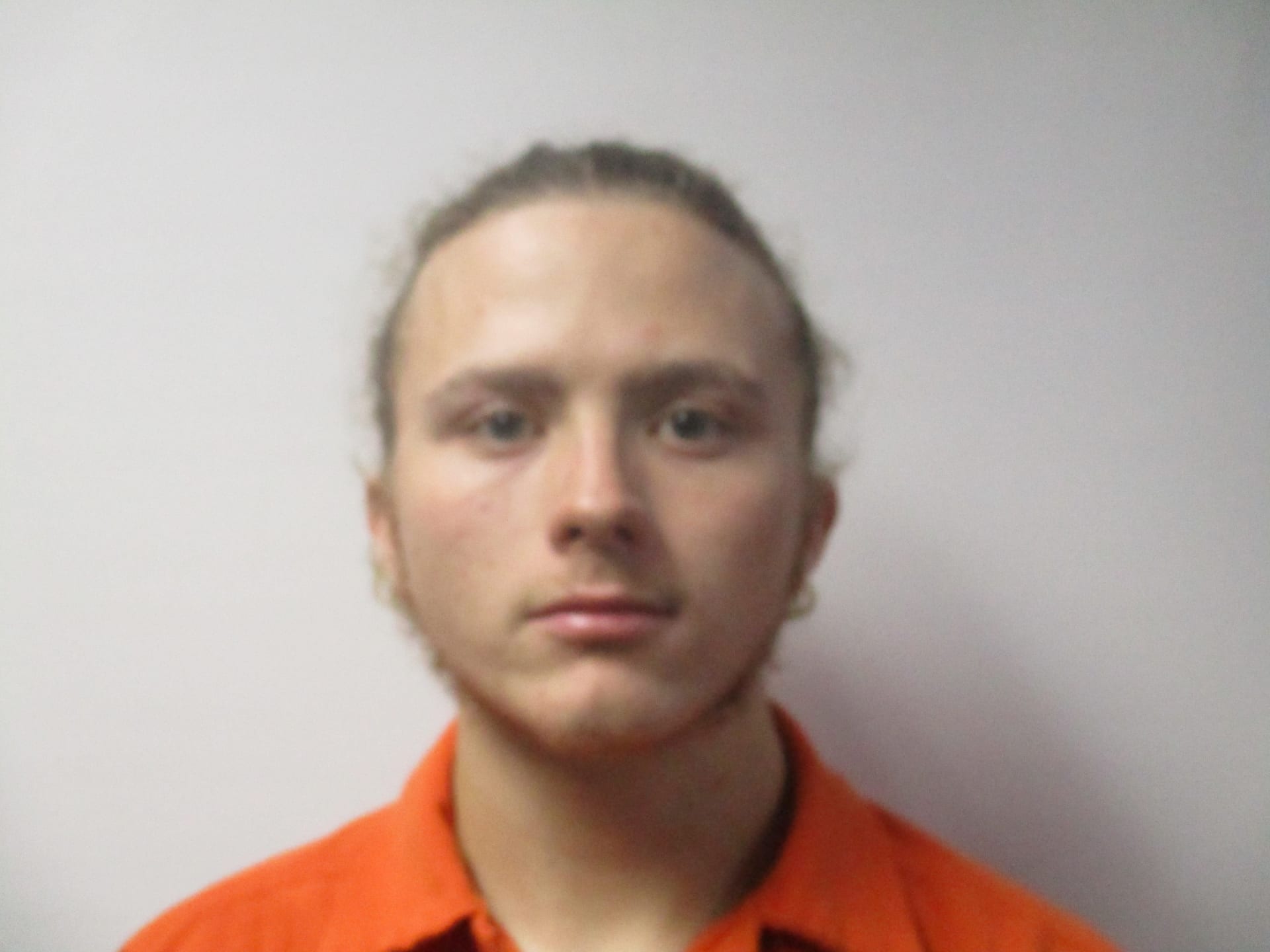 TRIPP SEBASTIAN WILLARD