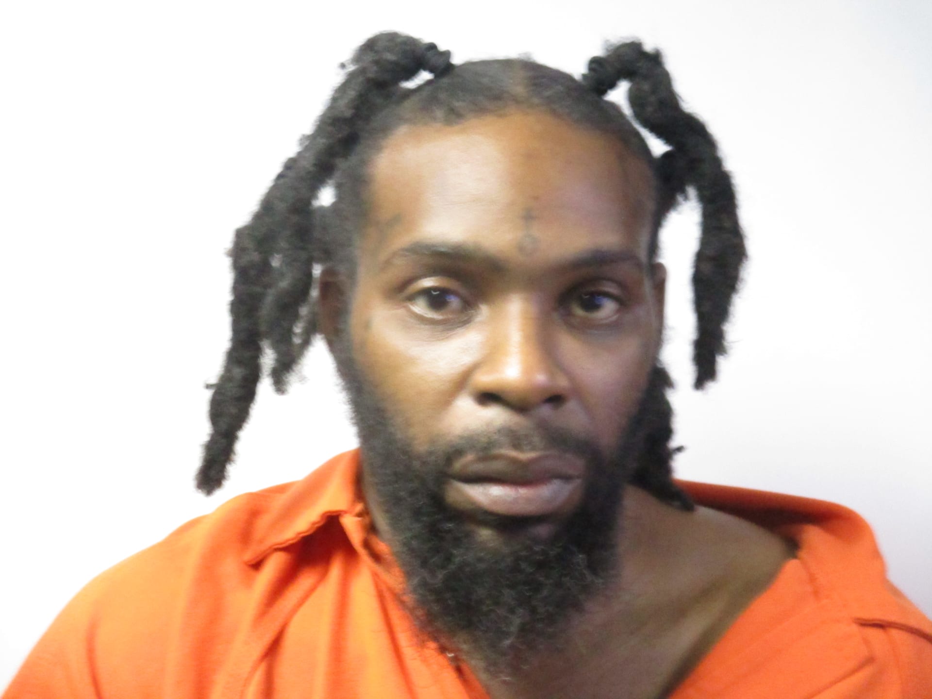 ORLANDO LATRON STEINER