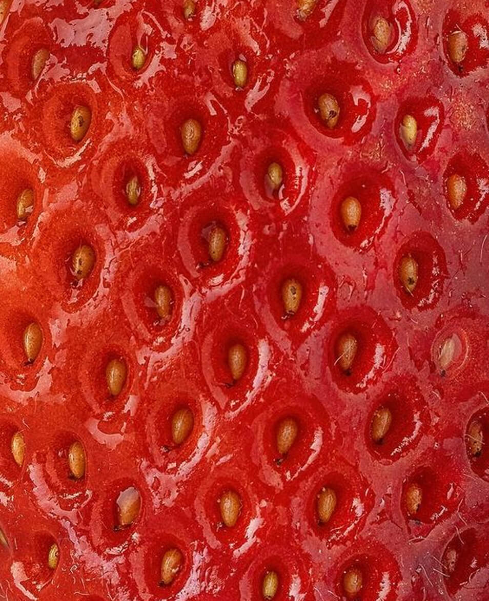 Store Assortment Image