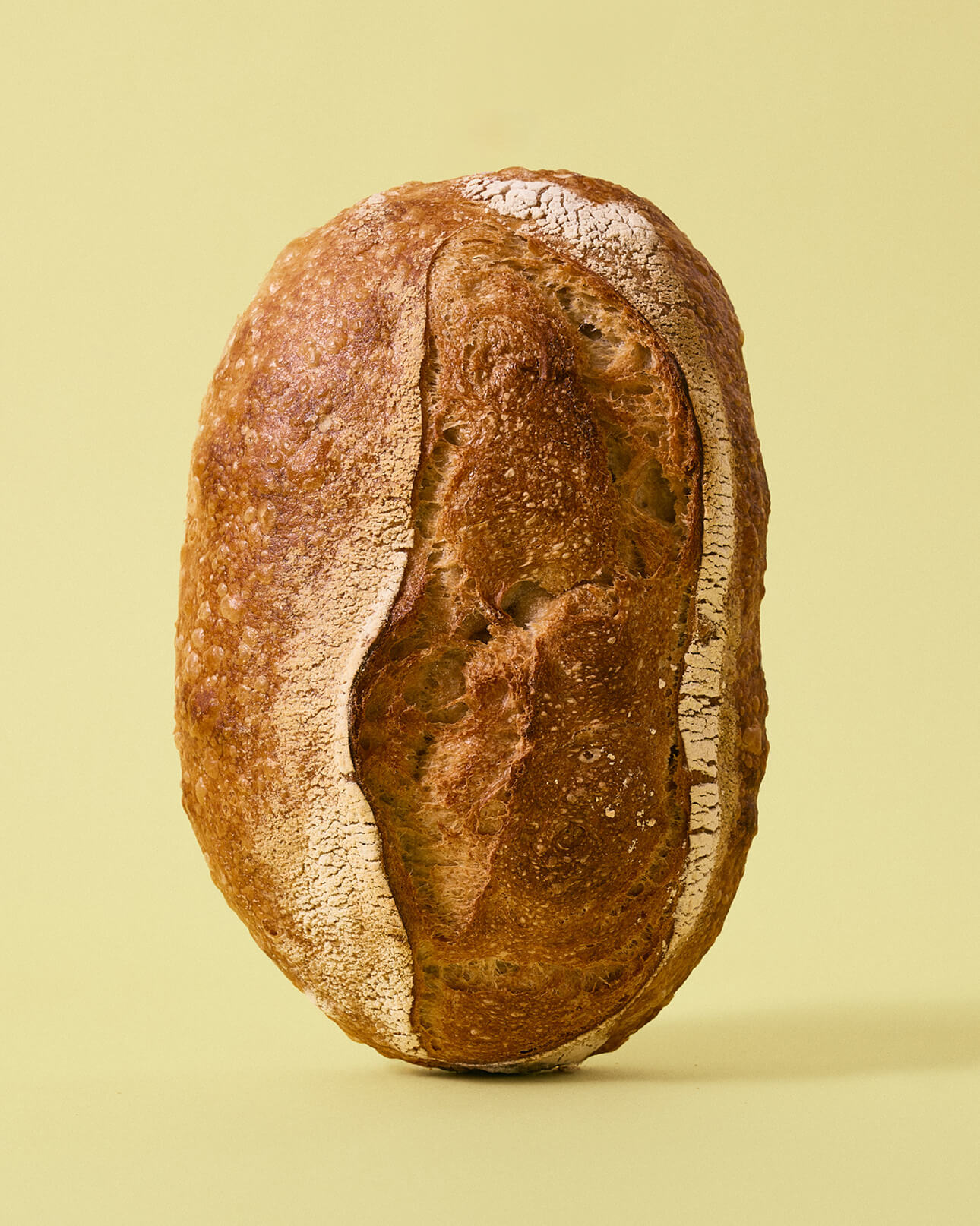 Store Assortment Image