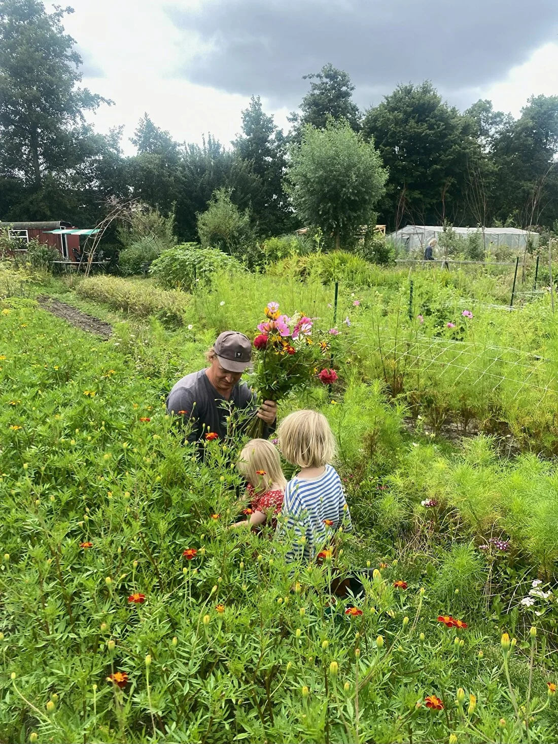 Farmer Image 1