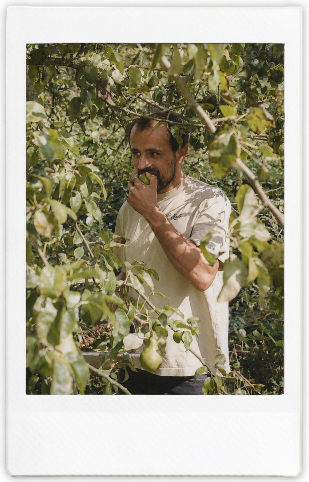 Farmers Image