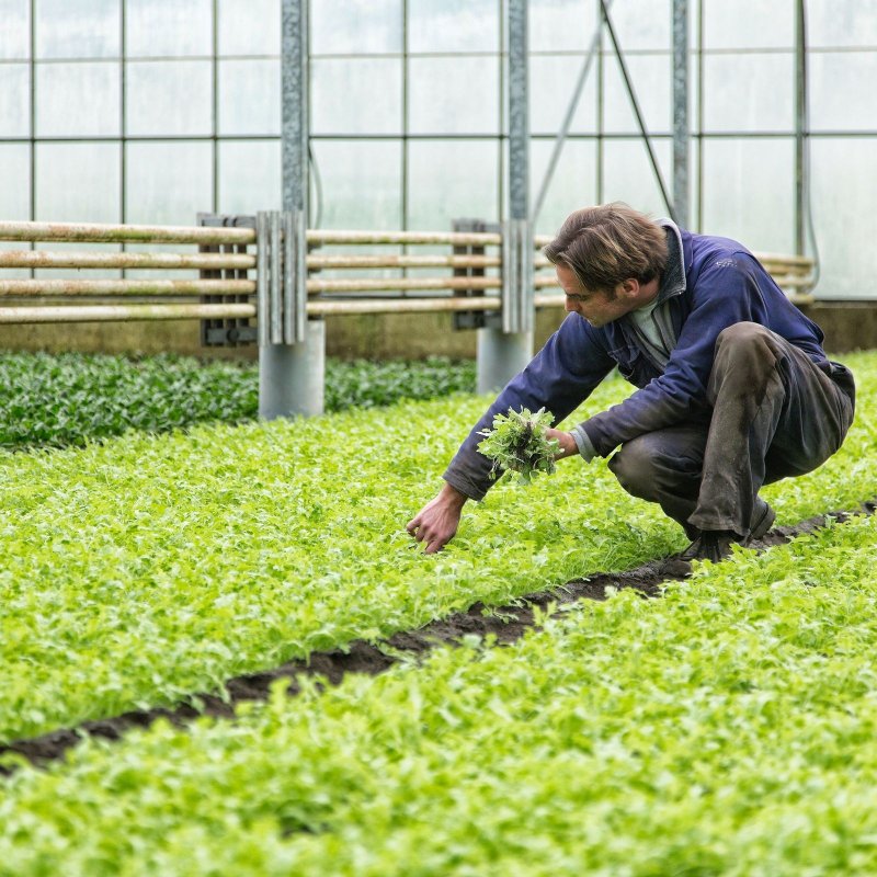 Farmer Image 1