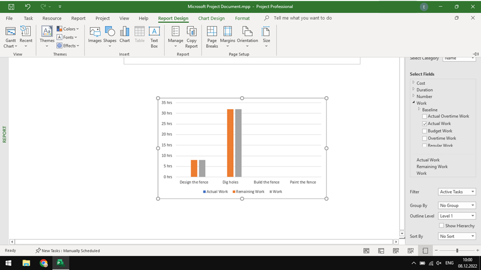 Draft version of Microsoft Project Desktop reports