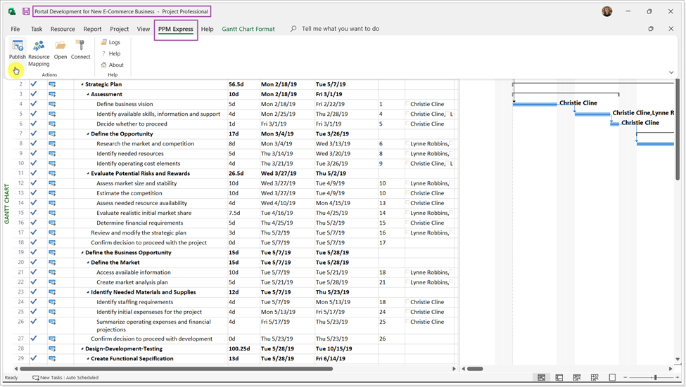 Menu PPM Express within MS Project