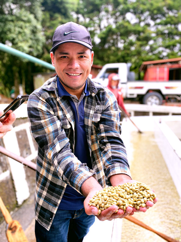 Nicaraguan coffee producer displaying fresh green coffee beans sourced for Cutters Point Coffee.