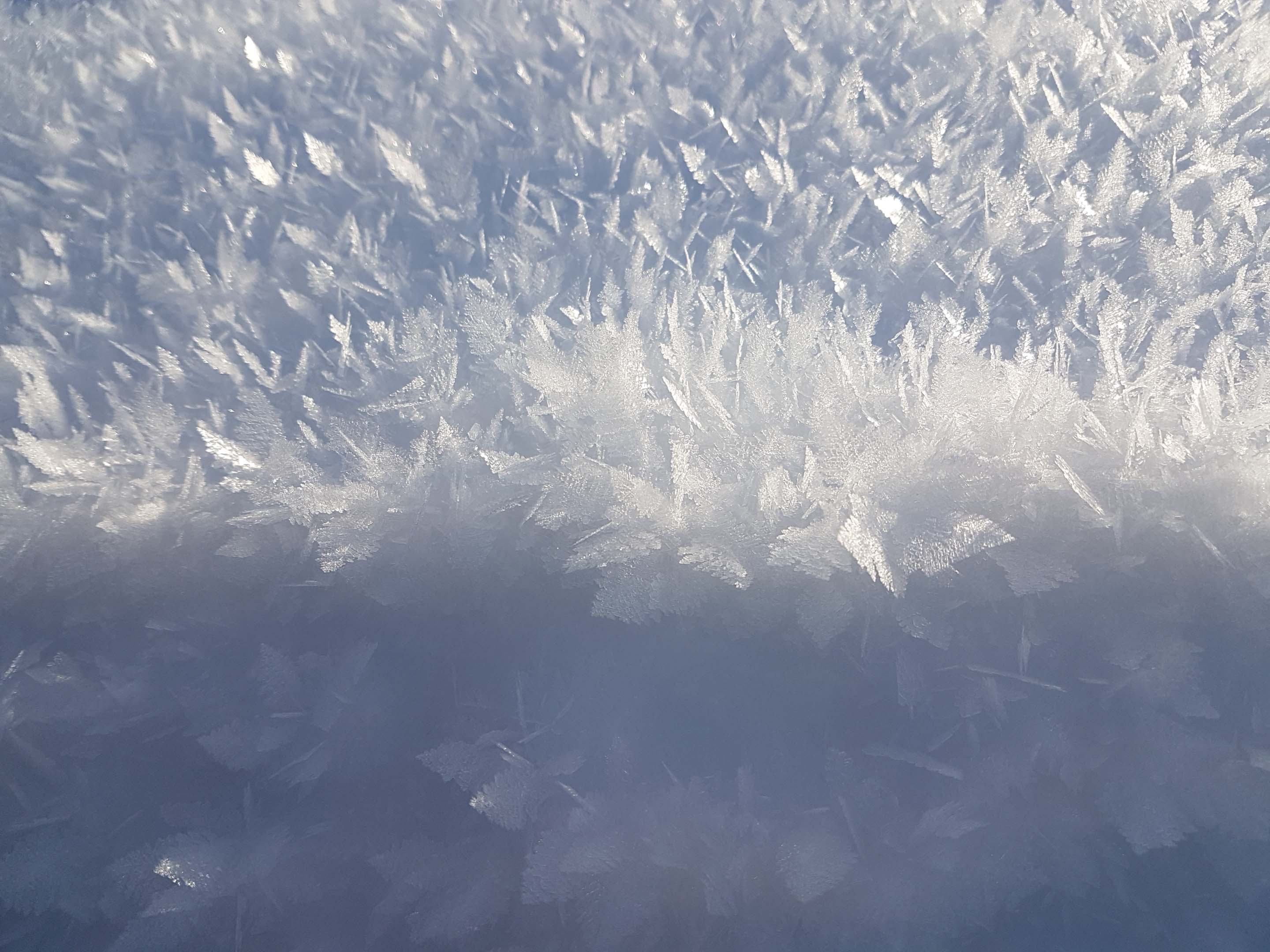 Close up of ice crystal surface hoar