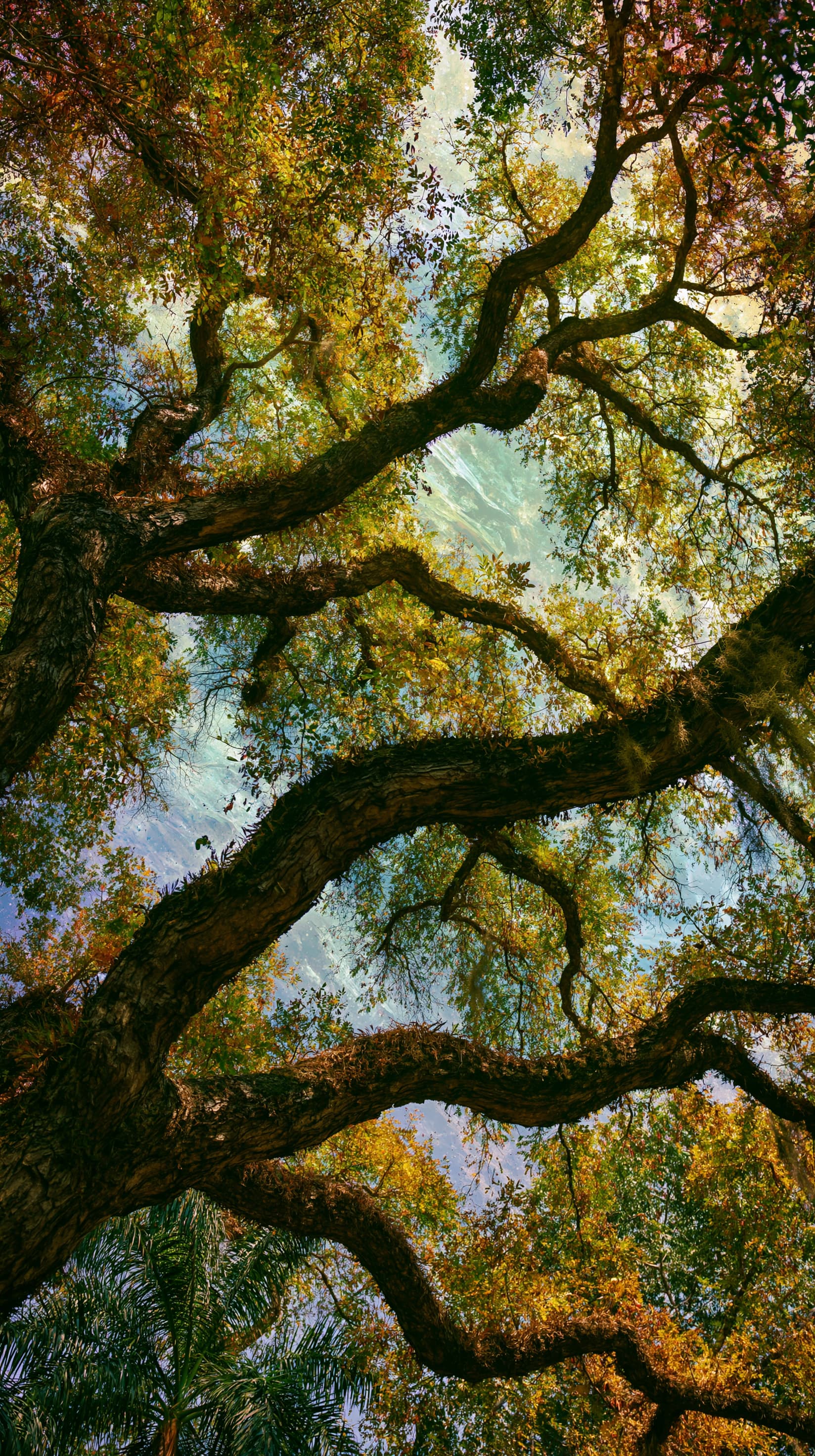 Arborist Tree Service