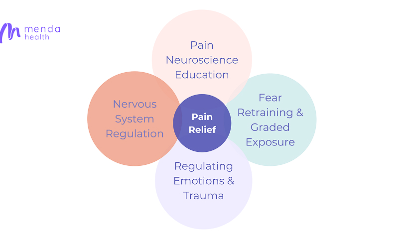 A diagram with overlapping circles labeled Neuroscience Education, Nervous System Regulation, Pain Relief, Fear Retraining & Graded Exposure, and Regulating Emotions & Trauma, representing pain reprocessing tools.