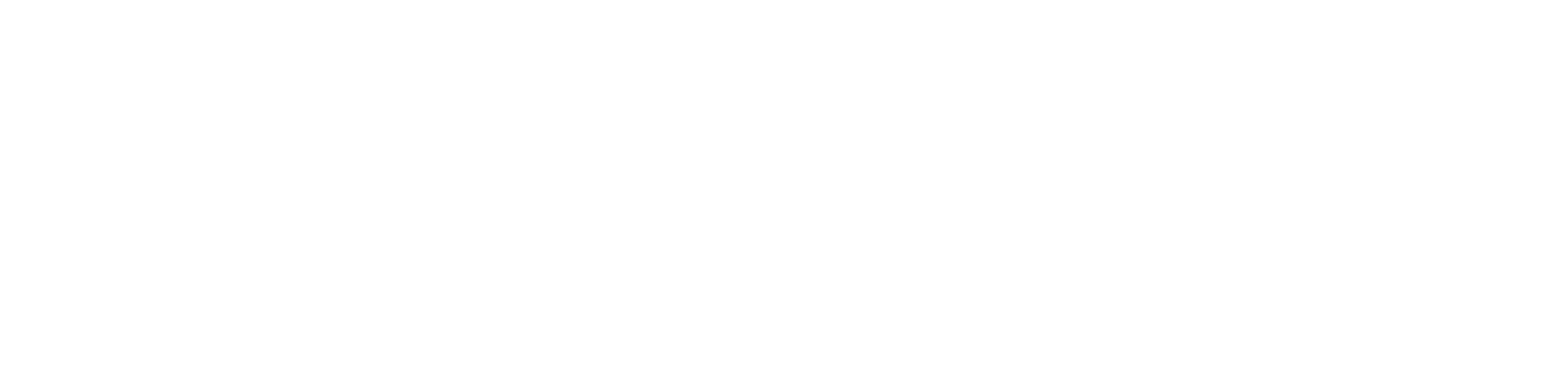 NSF Family Law Logo (White)