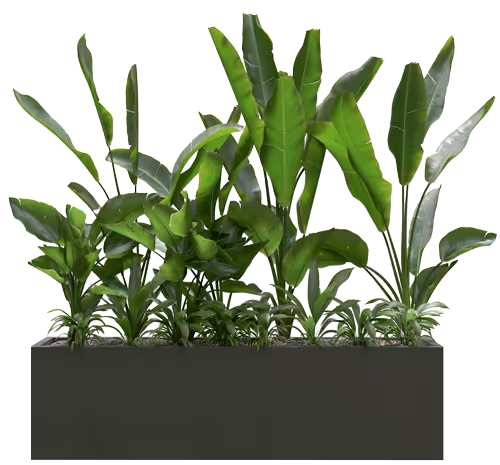 kantoorplant