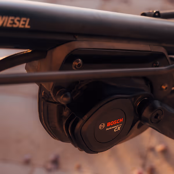 Bosch Performance Line CX E-Bike-Motor am Kettwiesel ONE Dreirad von Hase Bikes