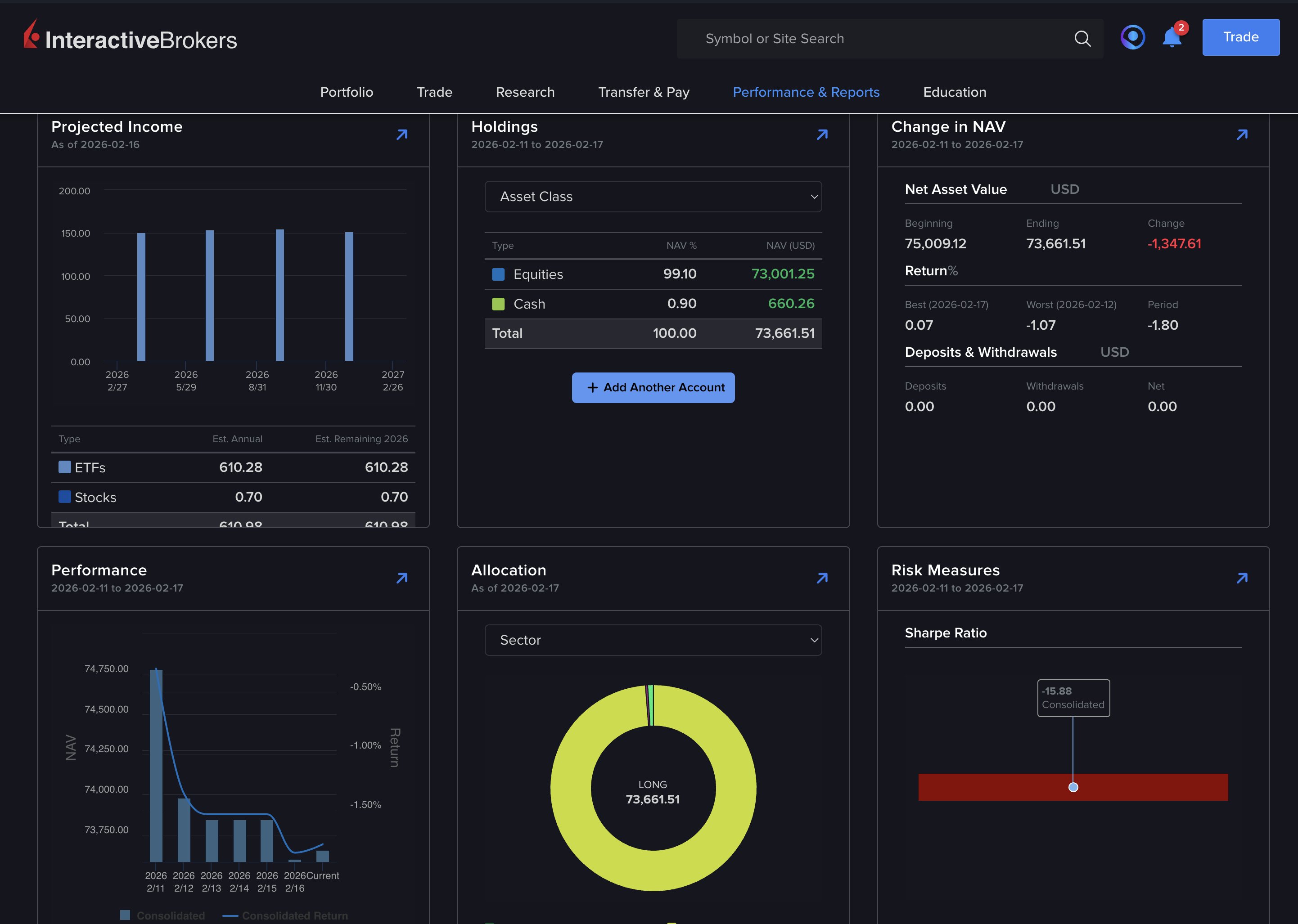Interactive Brokers Performance and Reports page showing projected income, portfolio allocation by sector, holdings breakdown, and risk measures
