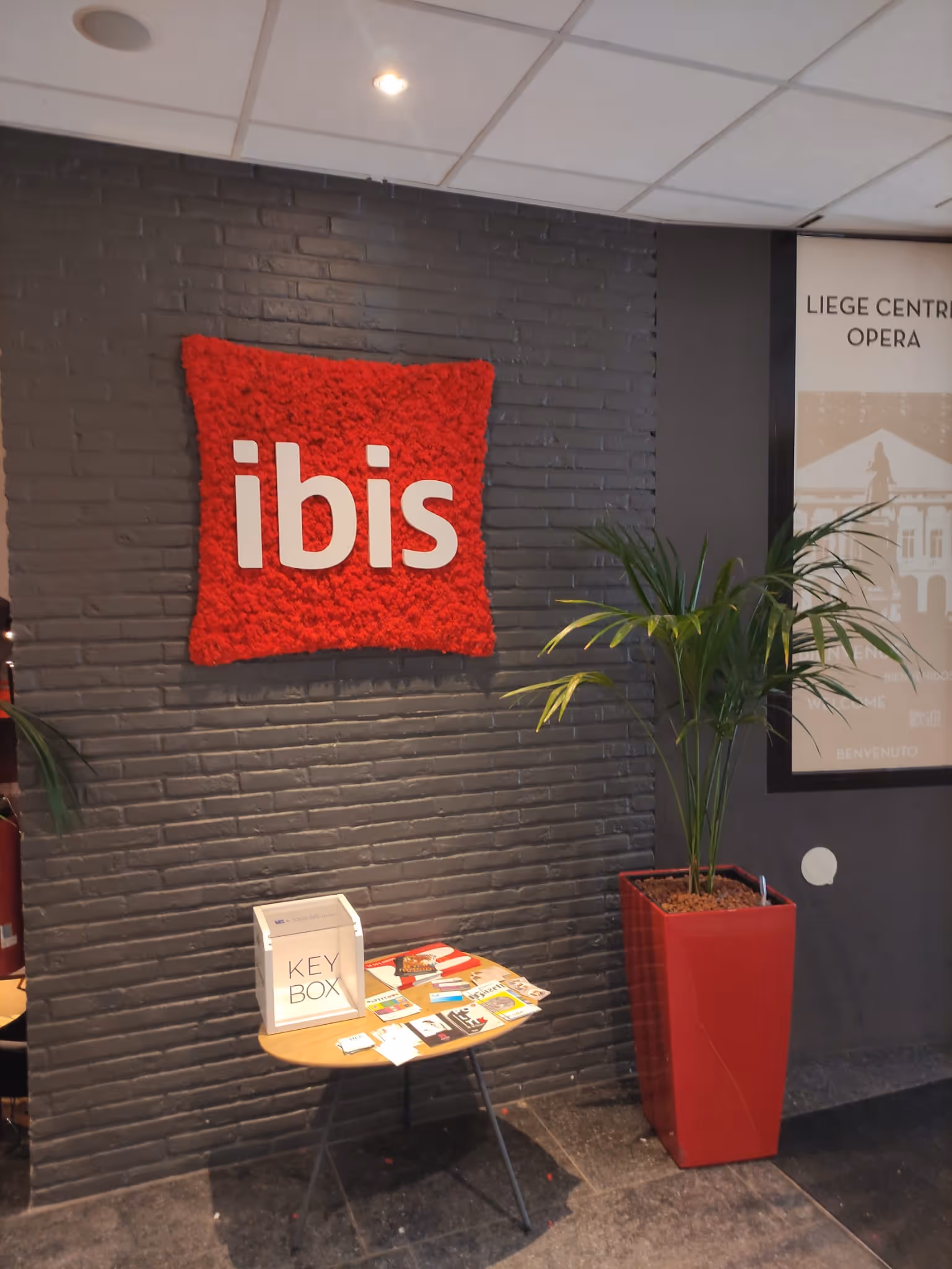ibis rood