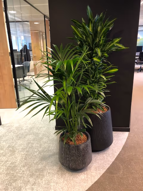 combinatie 2 plantenbakken 2