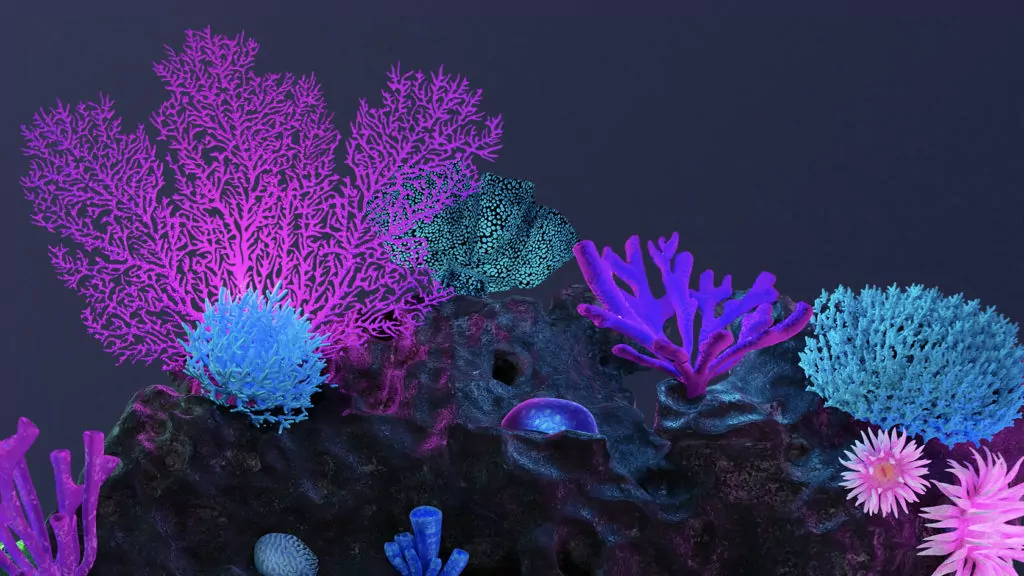 Designing Excellence: The CSSDA Website of the Year 2018