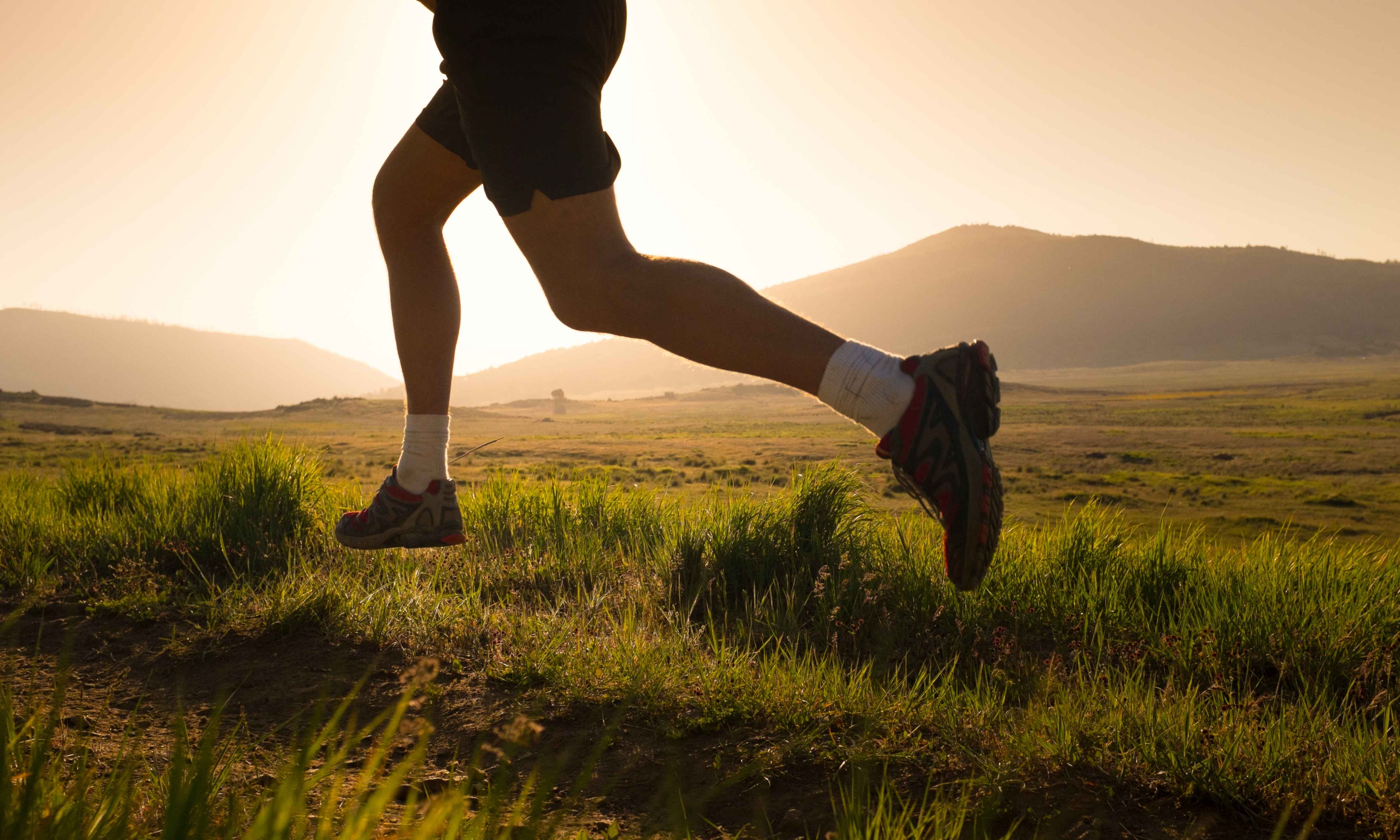 A Beginner’s Guide to U.S. Health Insurance