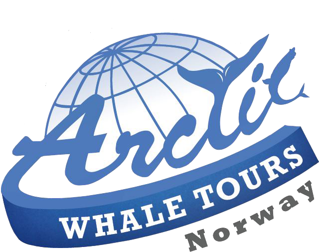 Arctic Whale Tours logo - nettsidekunde av Horn Media