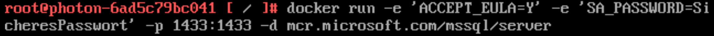 SQL Server als Container