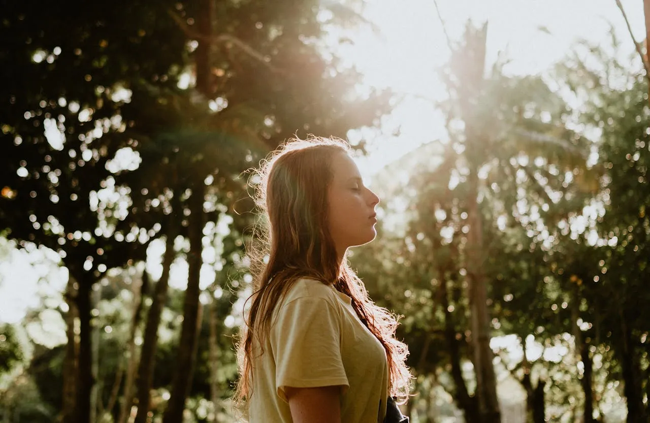 woman under the sun and trees
