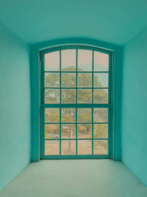 ห้องว่างที่มีผนังสีเขียว ตัวอย่างของ Color Drenching