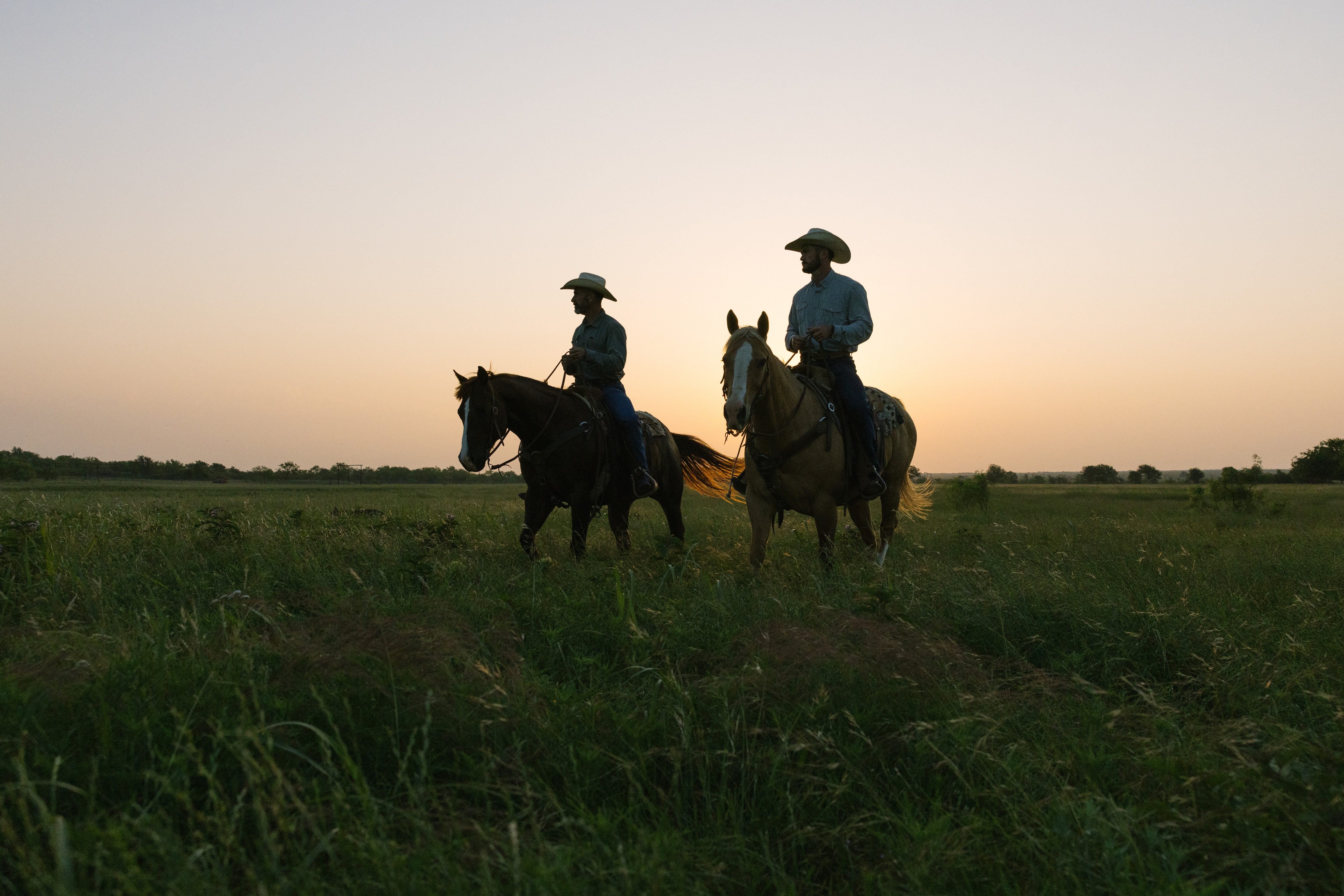 Richards Ranch checking pasture