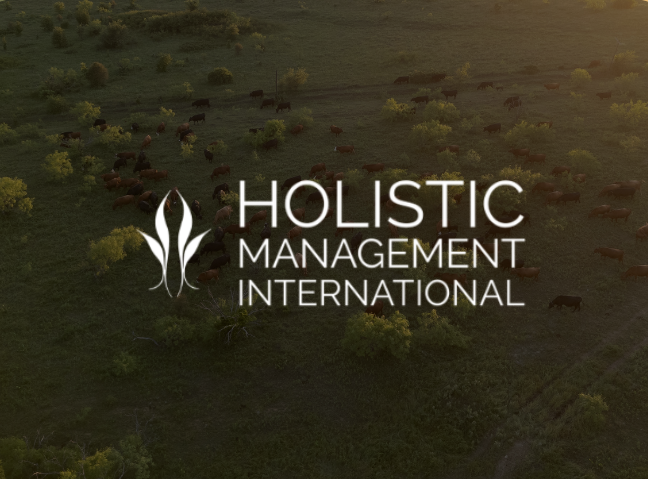 Holistic Management International  (HMI) logo