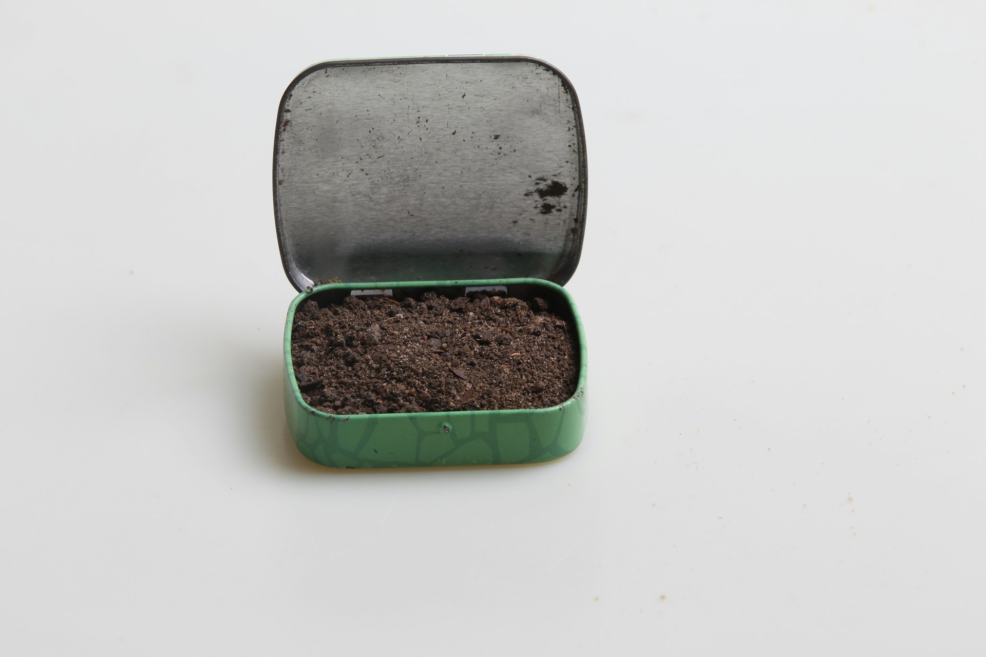Small metal tin filled with loose chewing tobacco