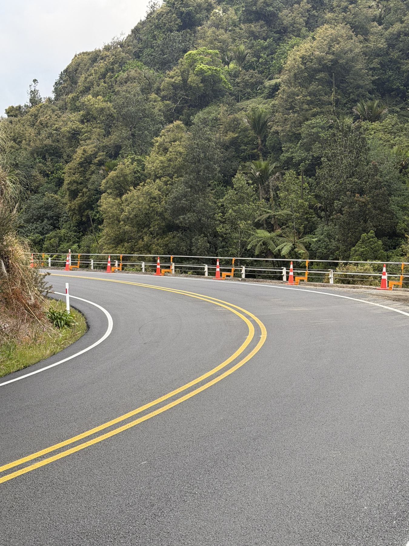 Edge protection following a curve in the road beside native bush