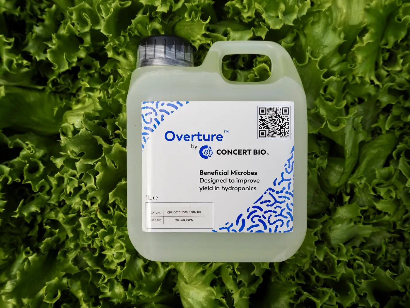A 1 litre bottle of Overture beneficial microbes lying on a bed of lettuce
