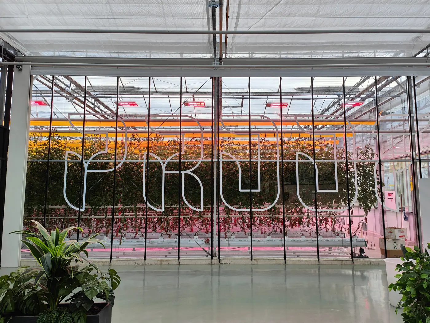 Cucumber trial greenhouse at Horti-Tech in the Netherlands