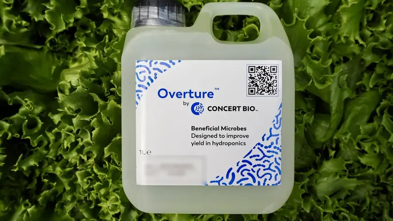 A bottle of Overture beneficial microbes on a bed of lettuce