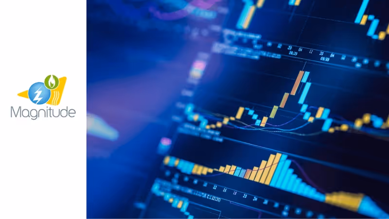 Magnitude EU-funded project