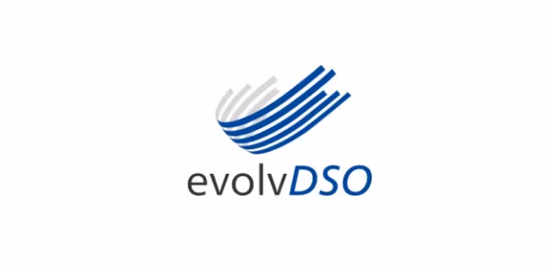 EvolvDSO project logo