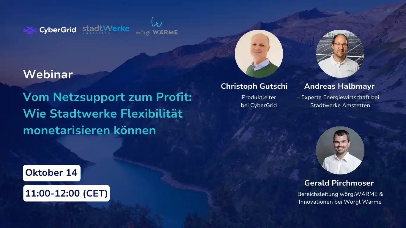 Webinar Stadtwerke Flexibilitätsvermarktung