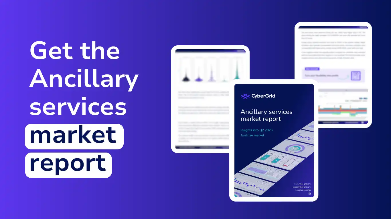 Ancillary services market report