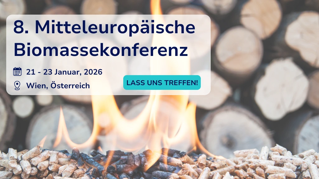 Wie Bioenergie-Anlagen Flexibilität beim Marktausgleich monetarisieren können