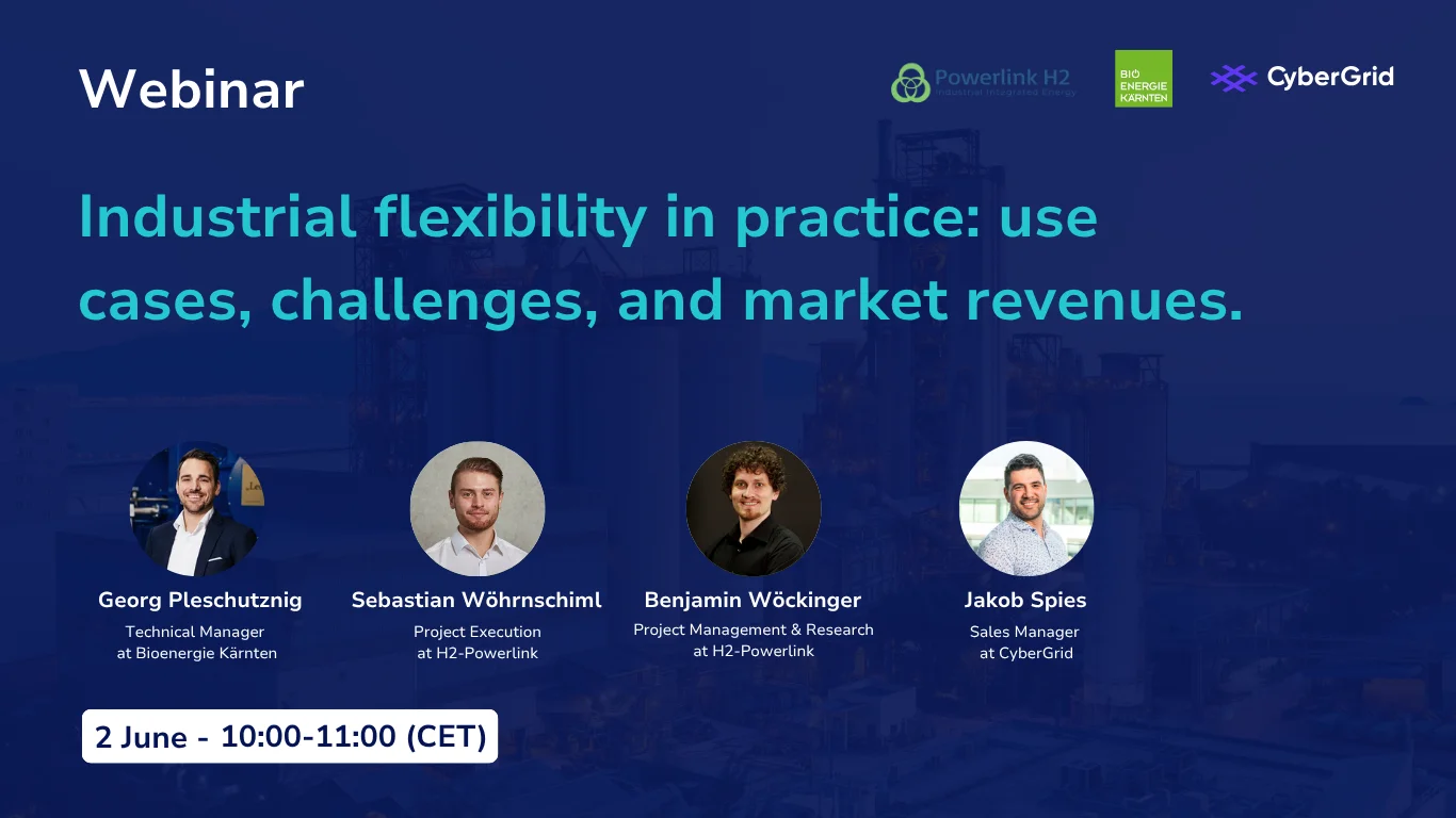 Webinar Industrial Flexibility