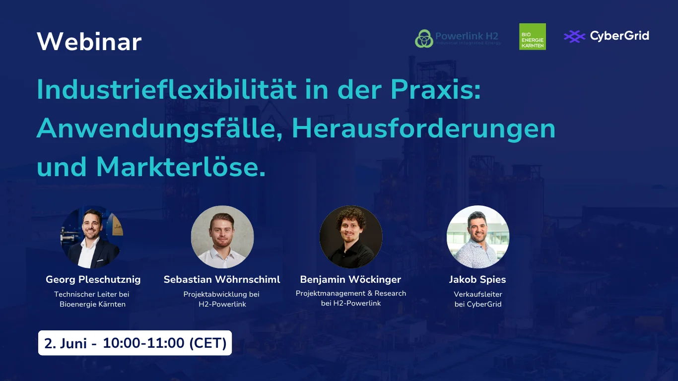Webinar Industrieflexibilität