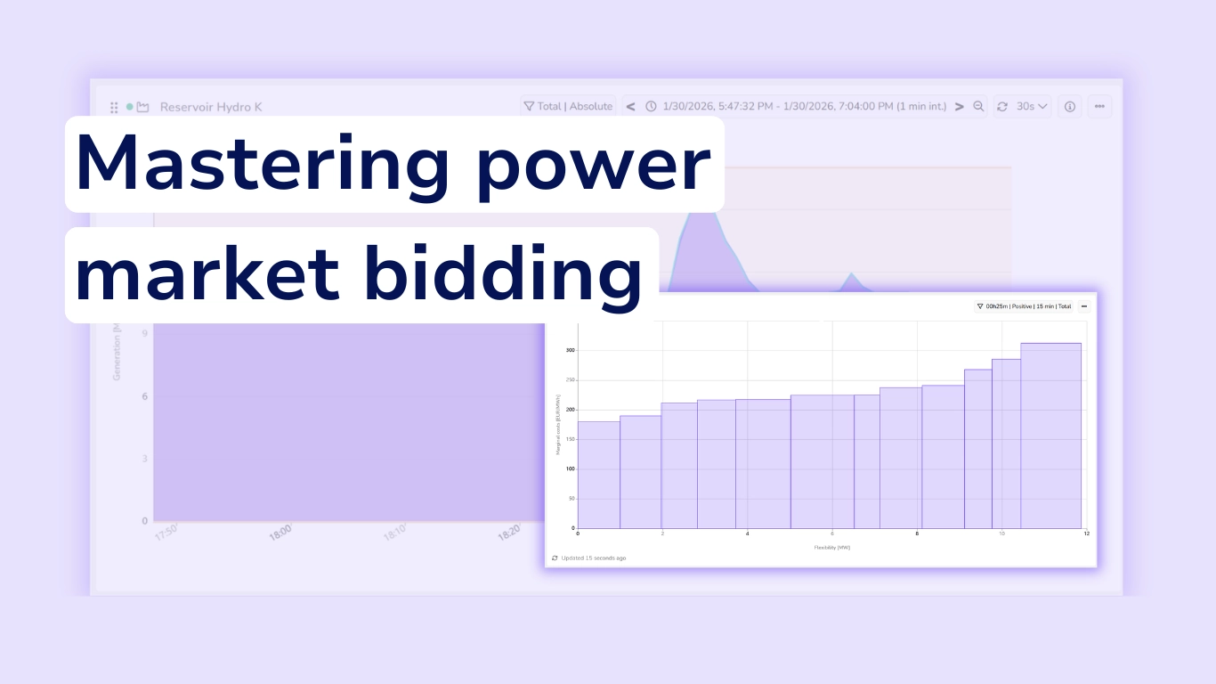 Mastering power market bidding