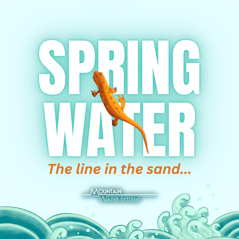 "Spring Water" text with an orange lizard on it and waves on the bottom.