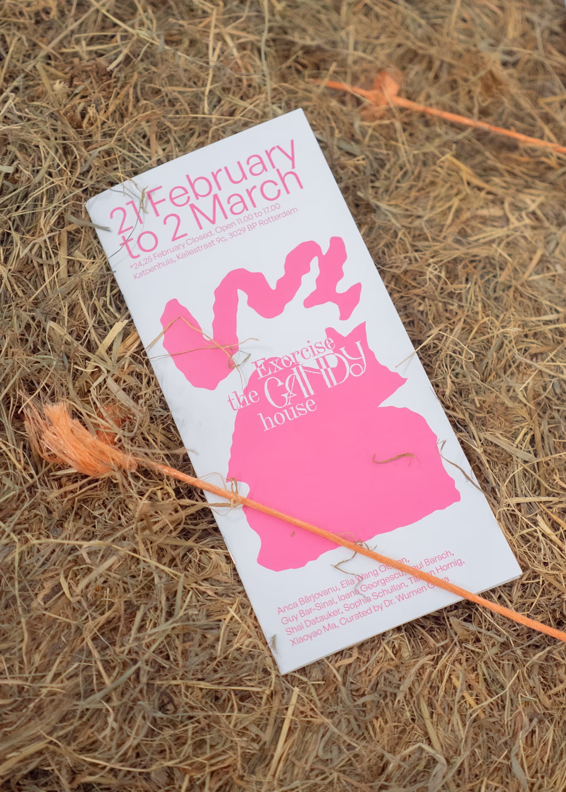 Printed Exorcise the Candy House catalogue on hay with pink exhibition identity design.