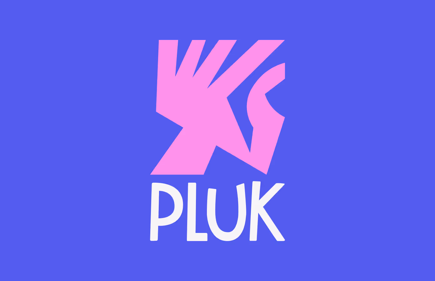 Pluk de Nacht festival merchandise by Webiii Studio