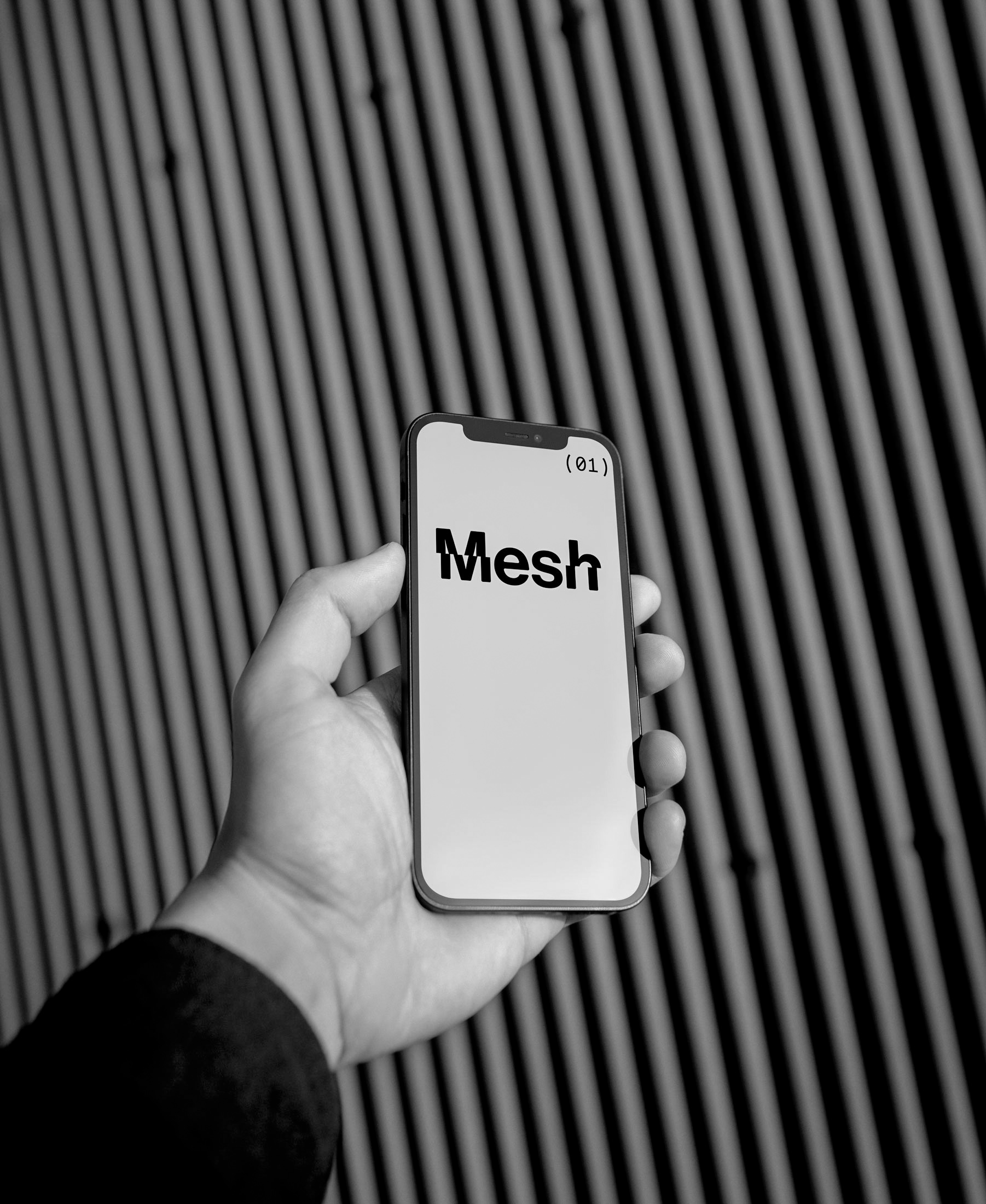 Mesh Product Development