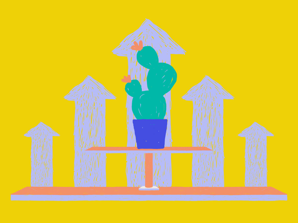 a cactus with upward facing arrows behind it