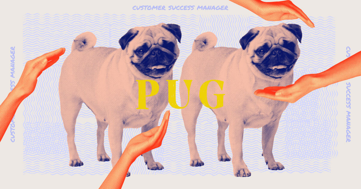 An image of a pug and its related tech job, customer service manager