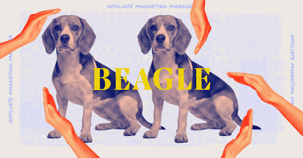 A beagle and its tech job representative, affiliate marketing manager