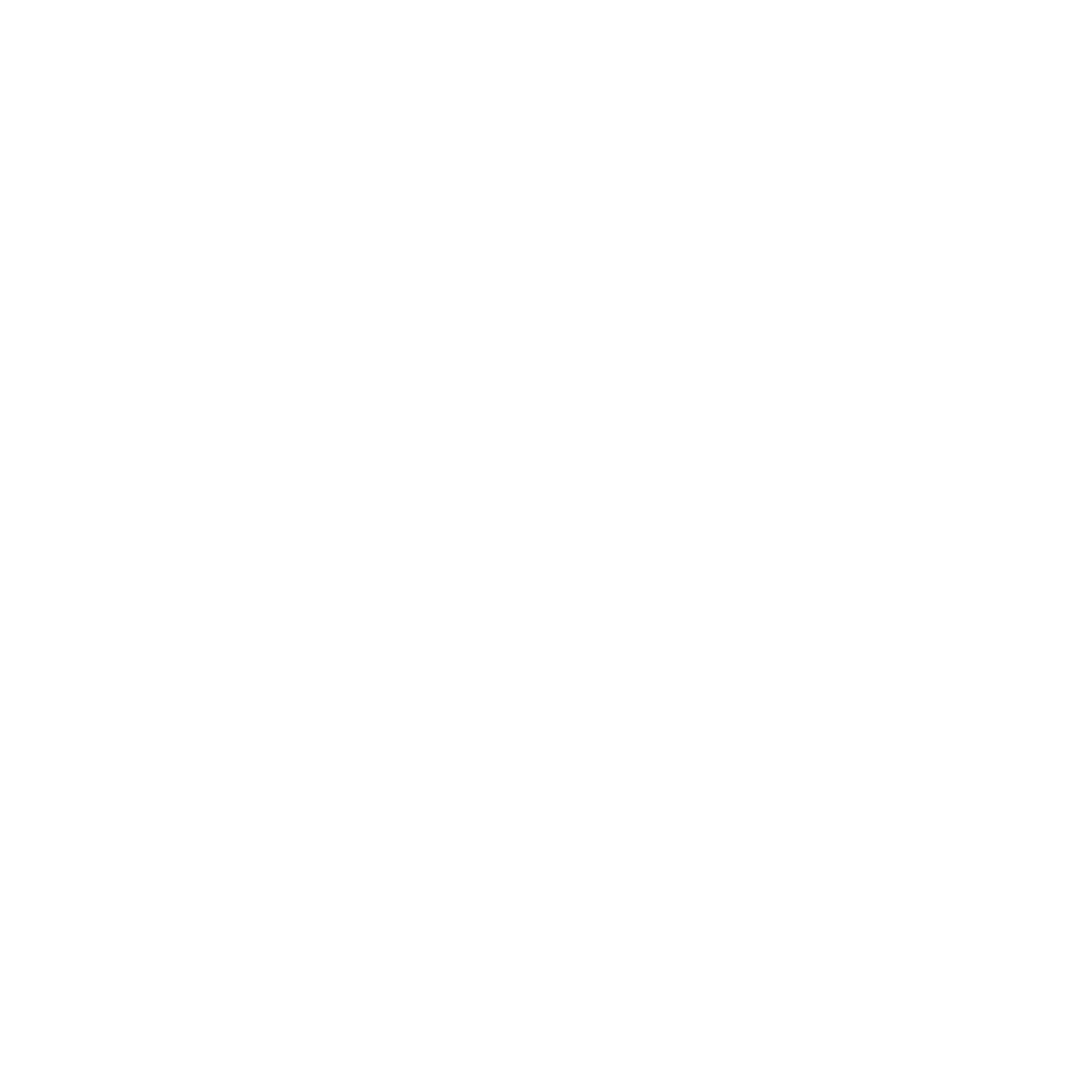Berner Express - Kunde von PIMEDIA