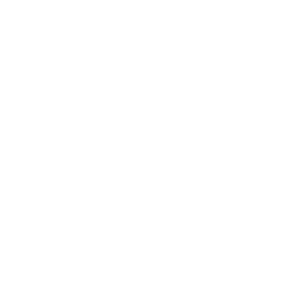 Icon Website, da PIMEDIA neue performance-optimierte Websites baut