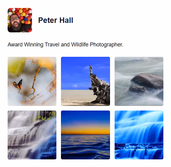 Profile photo of Peter Hall with balls background and six thumbnails of nature photos including a butterfly, driftwood on a beach, rocks in water, waterfall, ocean sunset, and cascading blue waterfall.